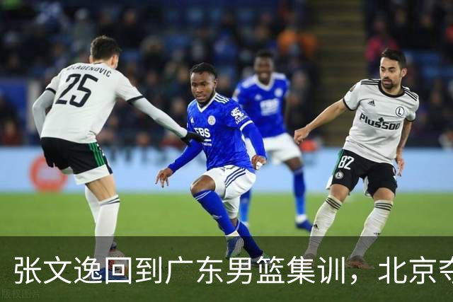 张文逸回到广东男篮集训，北京夺冠功勋确定退役，上海欲续约弗格